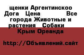 щенки Аргентинскоо Дога › Цена ­ 25 000 - Все города Животные и растения » Собаки   . Крым,Ореанда